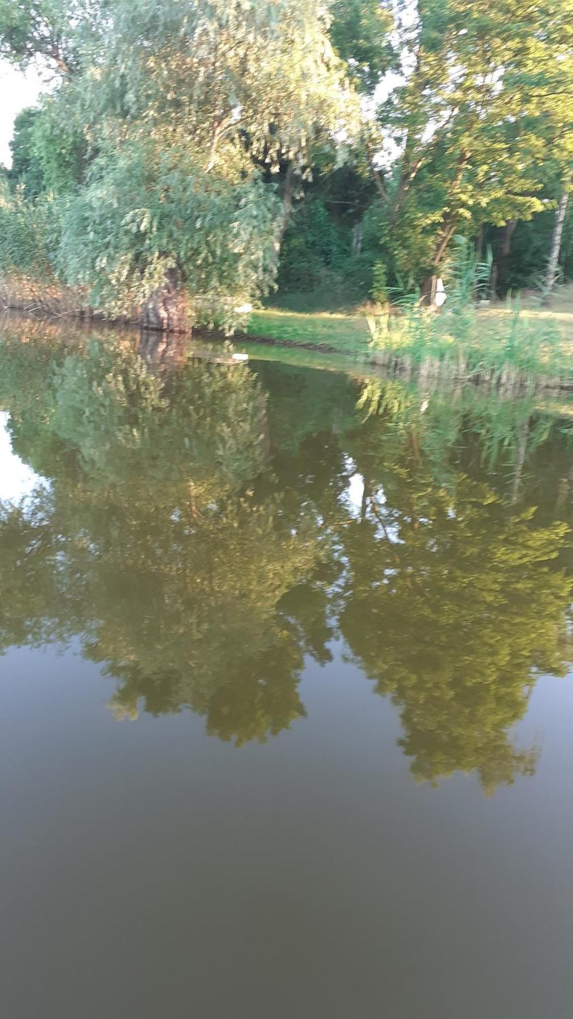 Borostyán Vendégház Tiszaug Exterior foto